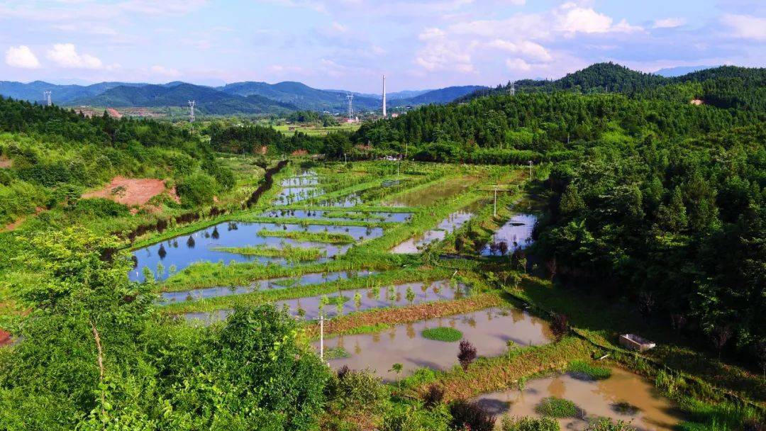 野炊 野果野戏野游 野战(cs"烟裕"同和华塘镇同和村南靠茅坪村 吴山