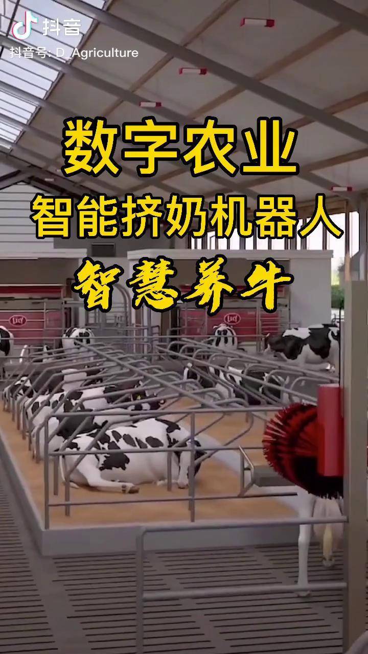 数字农业智慧养牛智能挤奶机器人