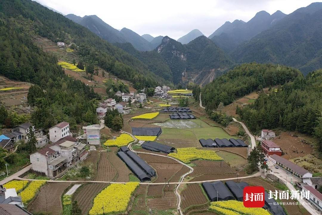 3月18日,四川万源市井溪镇龙王坝村的村支书刘刚学,一边有条不紊地