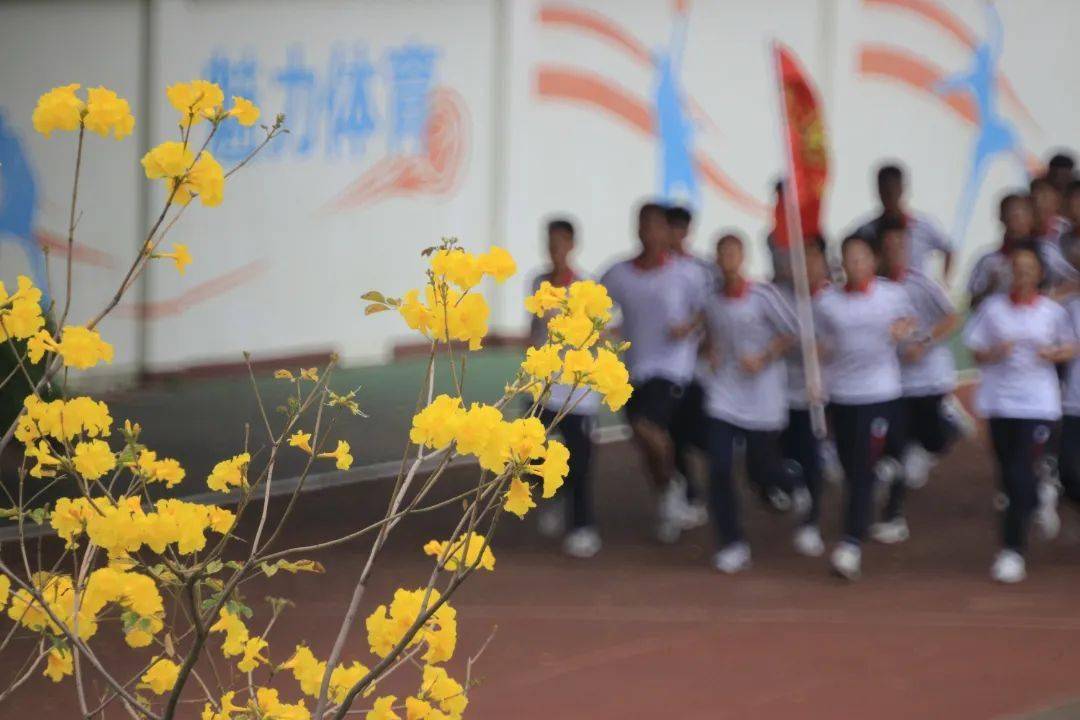 佛山这些校花醉人眼,你pick哪个?_顺德区_校园_学子