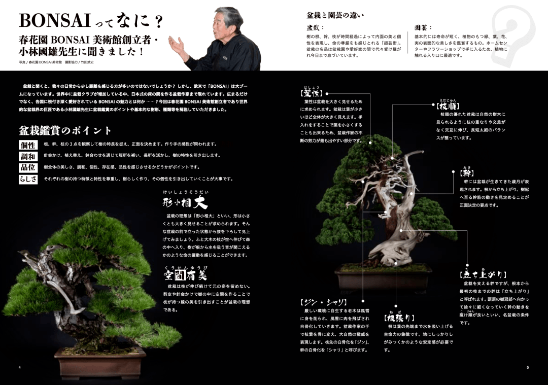 世界盆景巨匠,春花园bonsai美术馆创始人小林国雄简明扼要地介绍