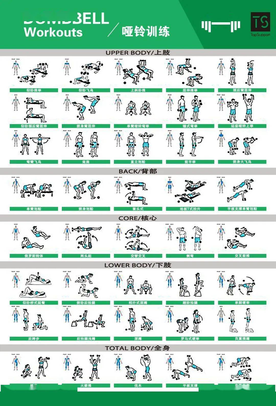 体能训练动作库图解大全值得收藏