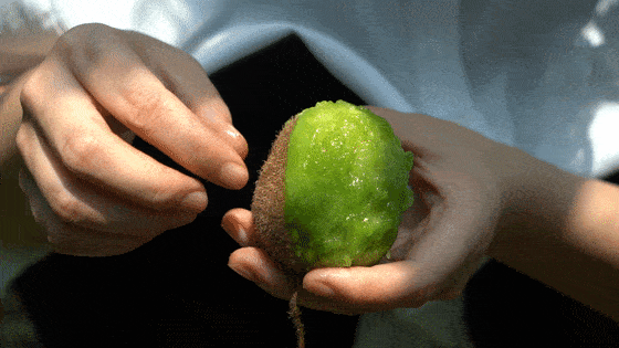 560_315gif 动态图 动图