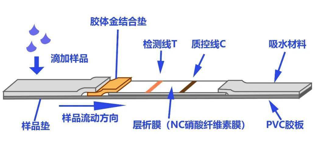 在"鼻/咽拭子",注射器以及其他综合包装领域台达自动化方案也以稳定