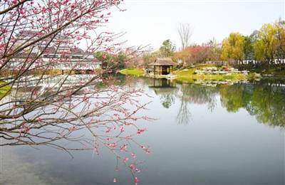 成都春光无限 不分古今_杜甫_园林_公园