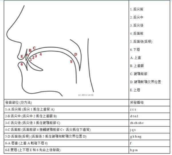 声母音发音位置图