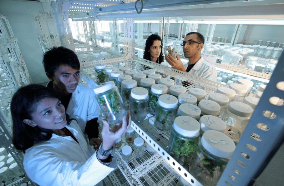这一切都将在科学家以及更多加入合成生物学研究的年轻人手中实现.