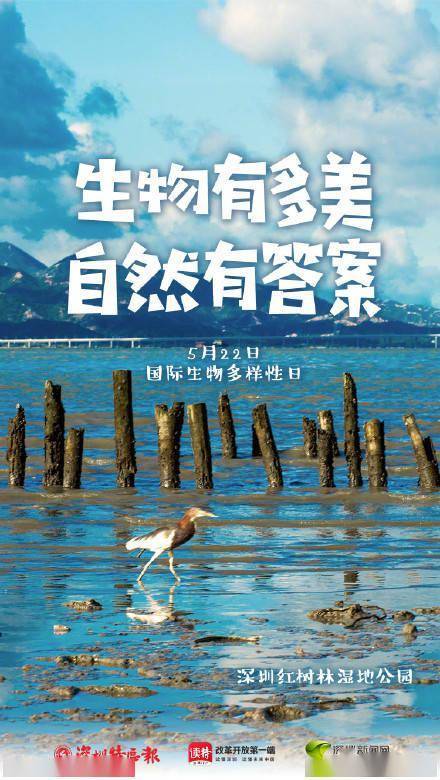 20220522是国际生物多样性日