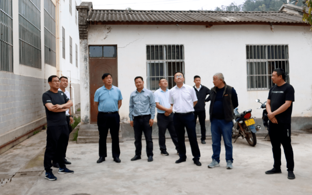 王正林带队到苴力镇开展助残日走访慰问_残疾人_生活_建设