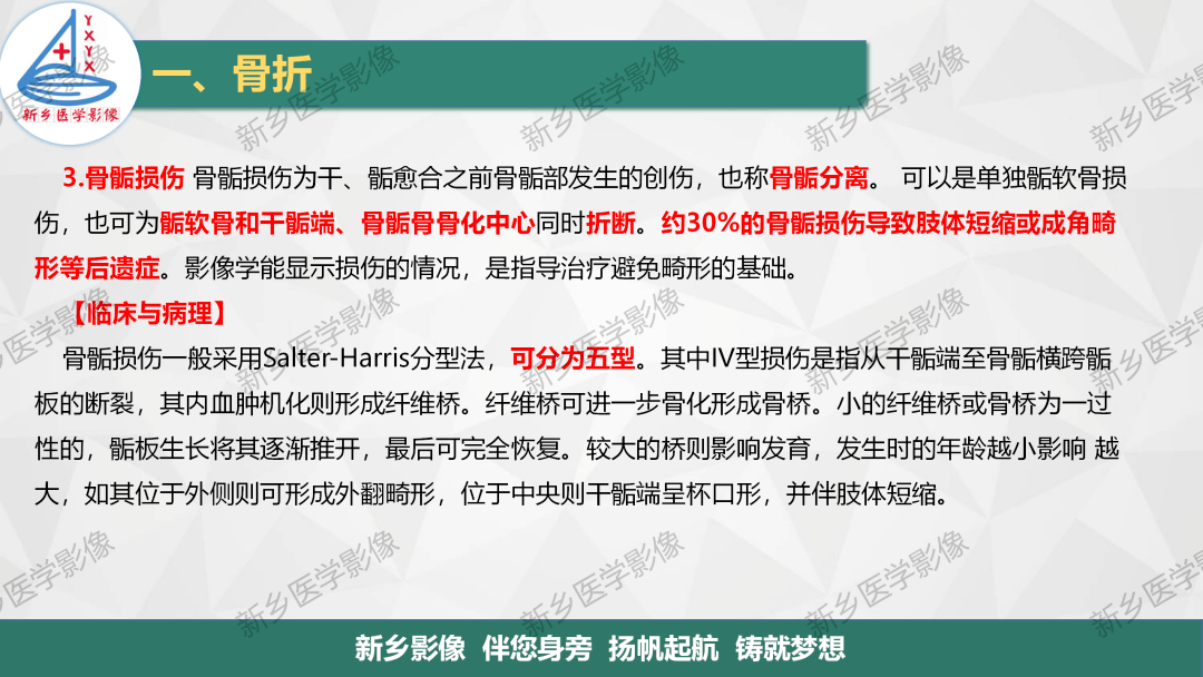 骨骺损伤及常见各类骨折的分型及诊断