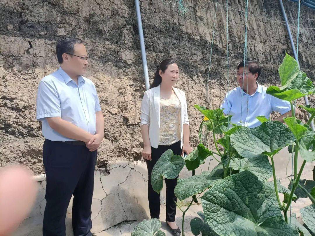 今日关注济宁市农业农村局副局长刘慧敏莅临义桥镇调研按揭农业项目