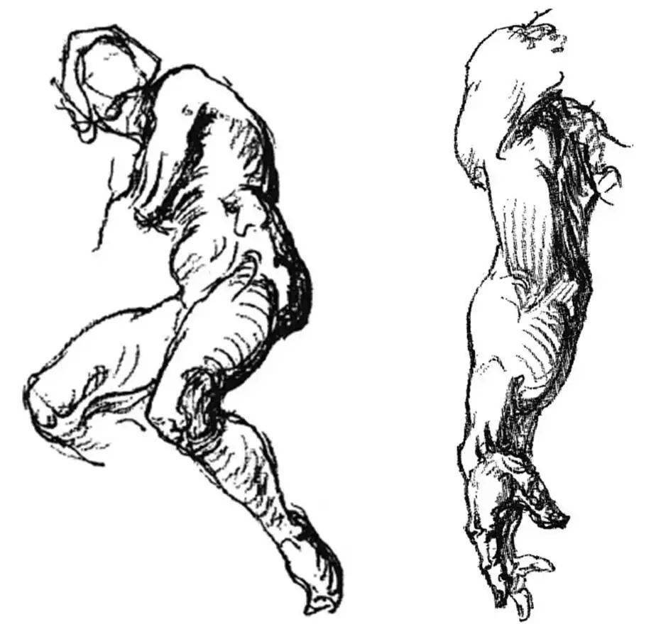 伯里曼人体结构绘画教学