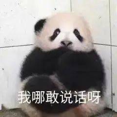 现在的女生太猛了吧!_男生_小学_年级