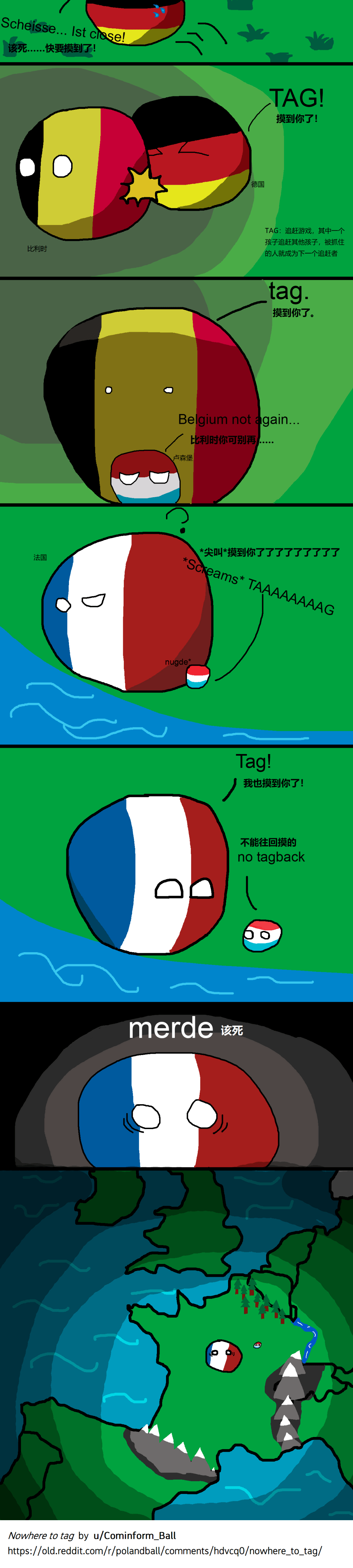 【波兰球里的它】高卢雄鸡(上)_法国_国旗_马赛