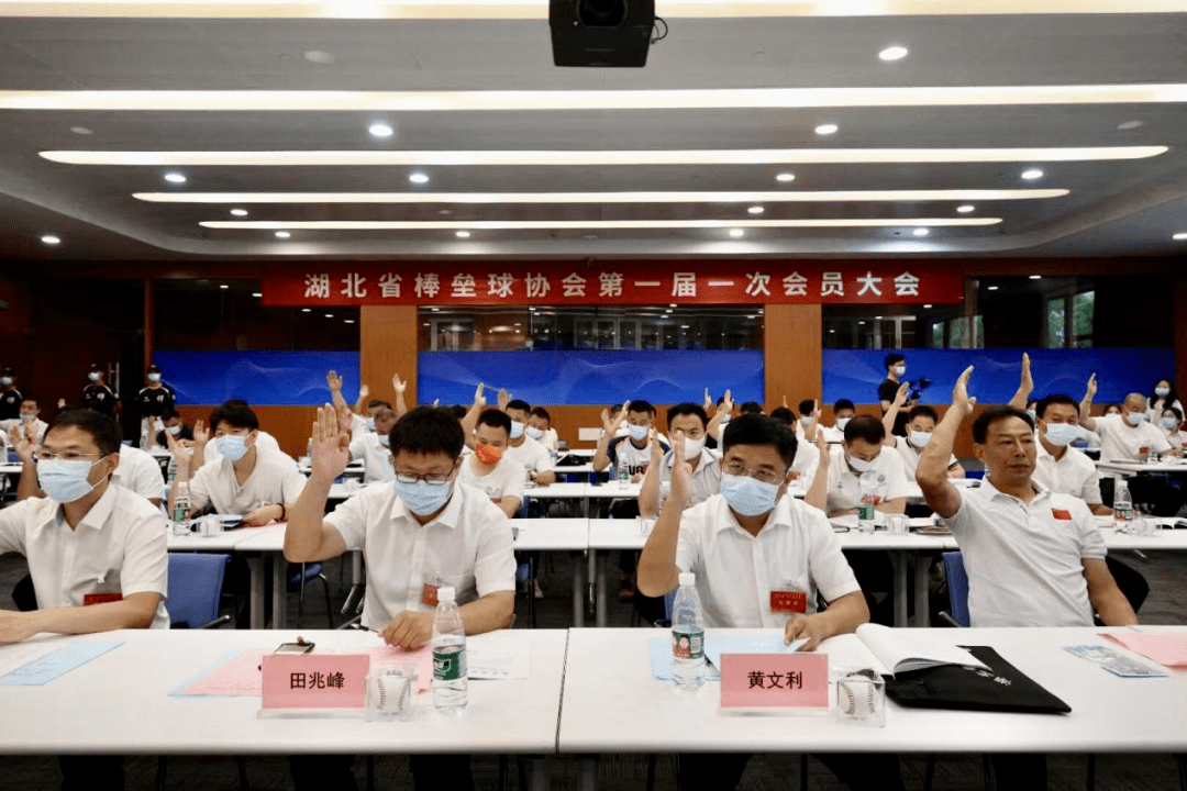 选举产生了湖北省棒垒球协会第一届会长陈勇,副会长田兆峰,郑景惠