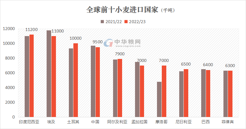 国际粮价一朝回到俄乌战争前