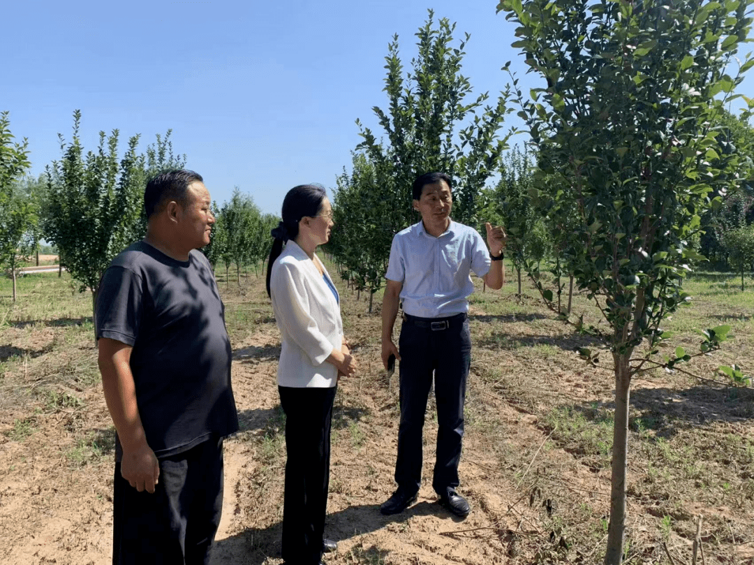 刘爱菊到连接线绿色廊道开展巡林工作