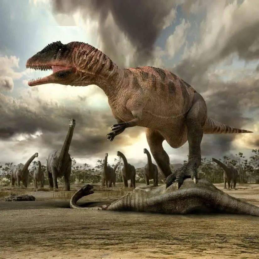 还发现了南方巨兽龙,马普龙等大型食肉恐龙