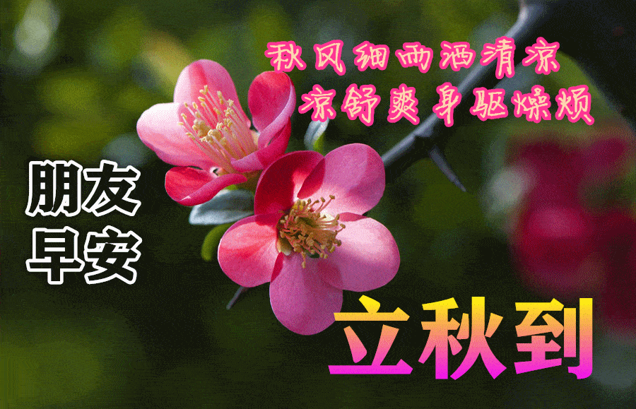 立秋最新早上好表情问候大全,一心一意的问候,送给我最在乎的人_祝福