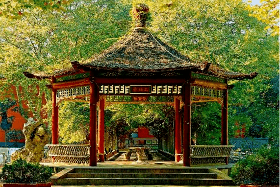 "邮"你月更圆—南京邮电大学办学80周年纪念月饼_柚子_三牌楼_母校