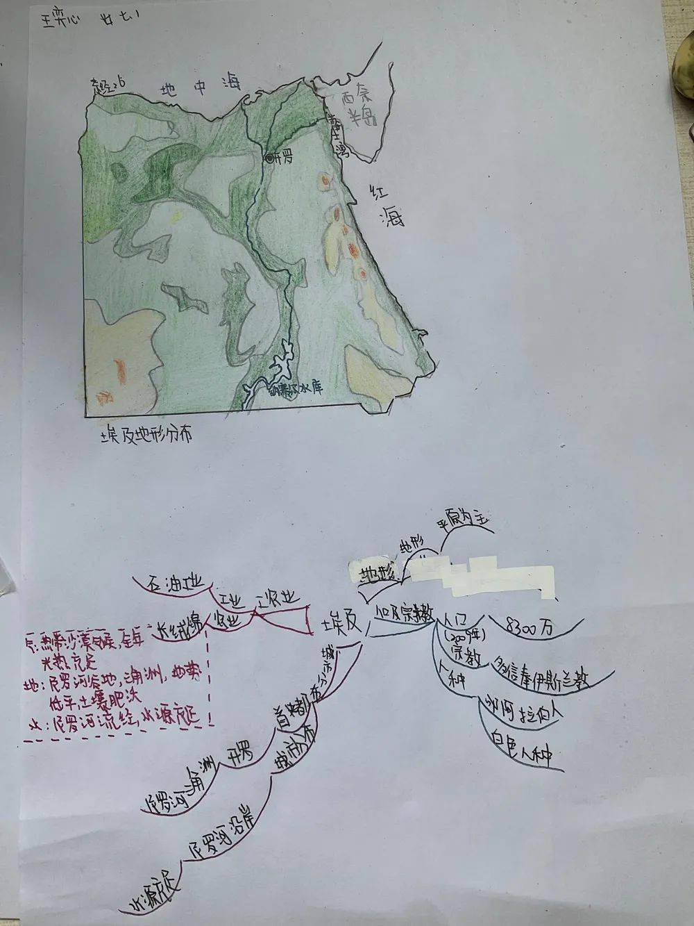 三实验作业构建地理思维导图培养学生核心素养七年级地理优秀暑假作业