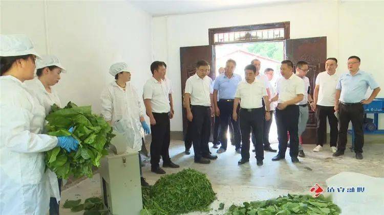 赵晓宁深入镇安督导检查工作_防汛_抗旱_达仁镇