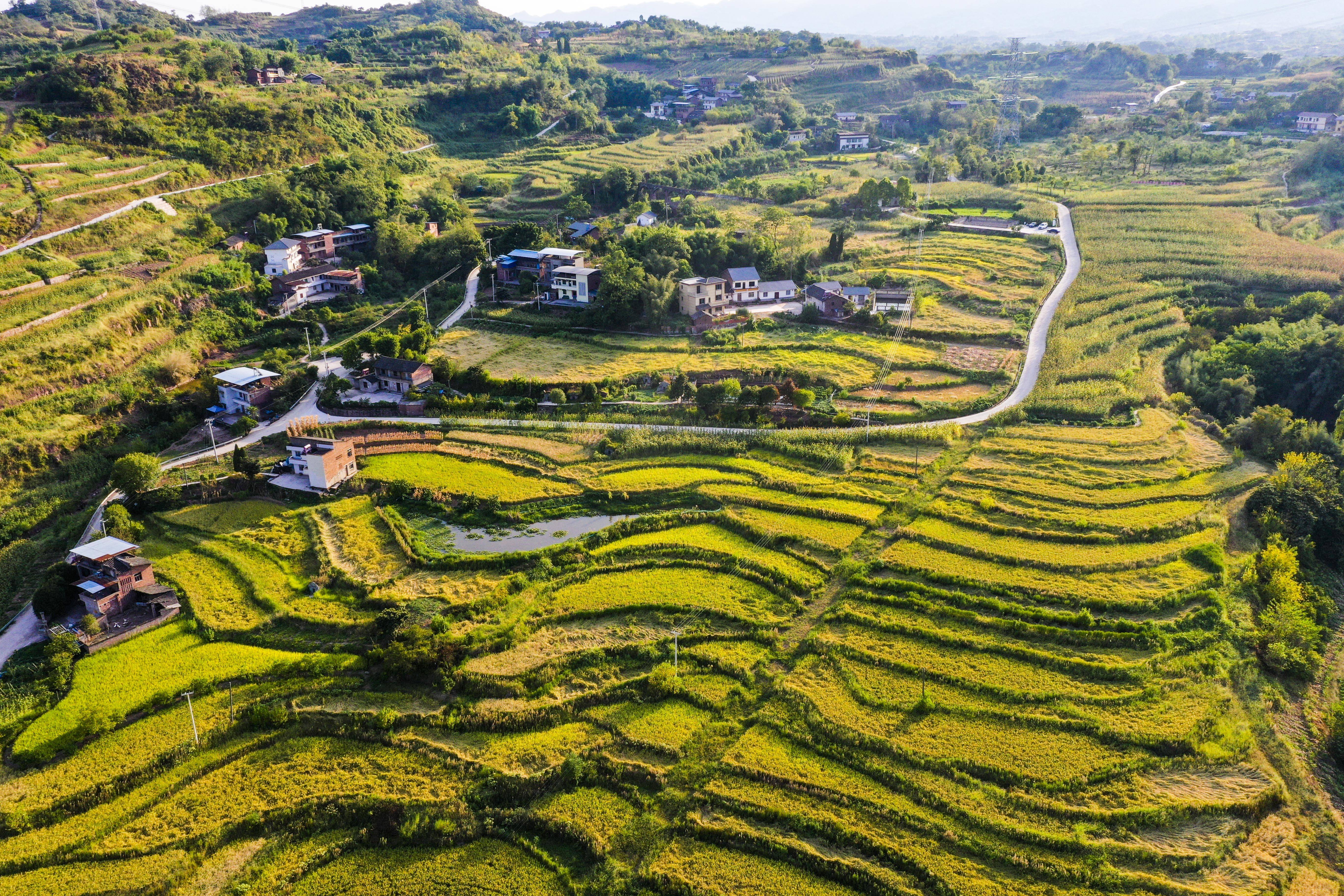 这是8月16日拍摄的重庆市北碚区三圣镇是平村景象(无人机照片.