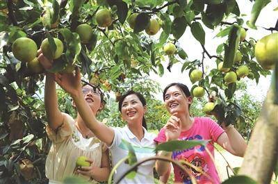 乡贤领航“鸬鸟”在乡村富美路上腾飞