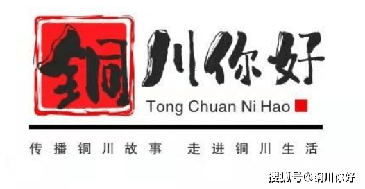 铜川市耀州区 铜川市新区城市公共区域集中消杀消毒的公告