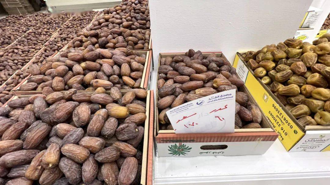 һ�γ���ɳ��ȫ��Ҭ�����࣡��ȥ�������ι���ȫ������ ...