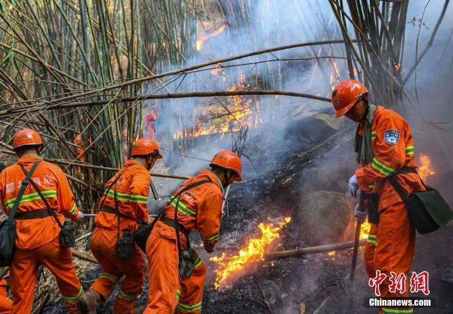 愿平安！重庆、四川、贵州多地突发山火