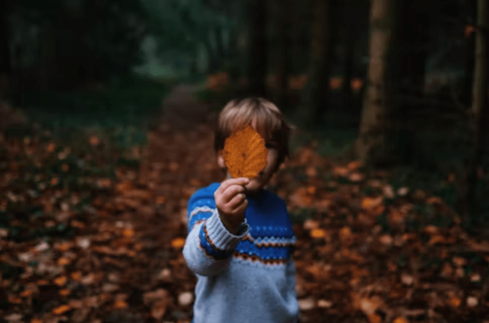 ������ѧ������������ʮ�����ź�