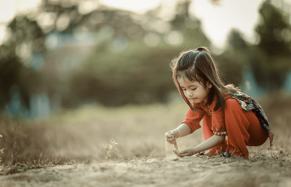 ������ѧ������������ʮ�����ź�