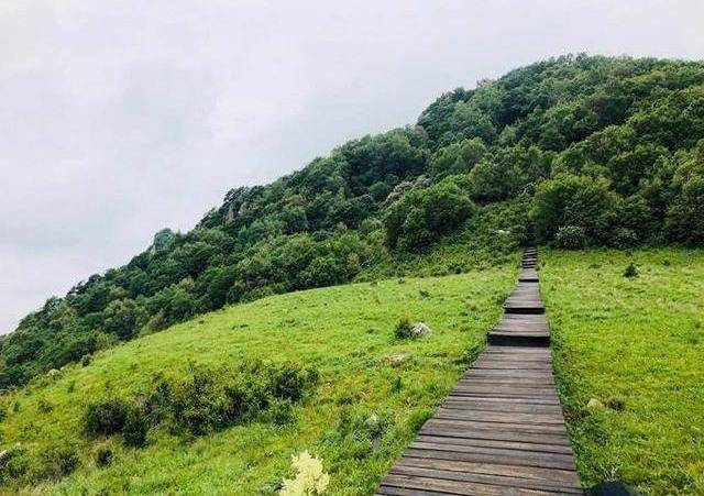 拥有1000多种植物的花园，巨大草甸让人不忍离去。来者皆不虚此行