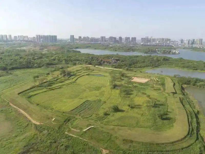 博物馆的力量-第九届"博博会,来听听盘龙城遗址博物馆的故事_考古