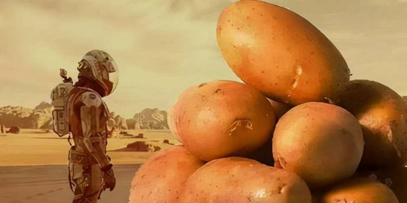 这意味着《火星救援》上,人类在火星种土豆的场景大概率不会出现,因为