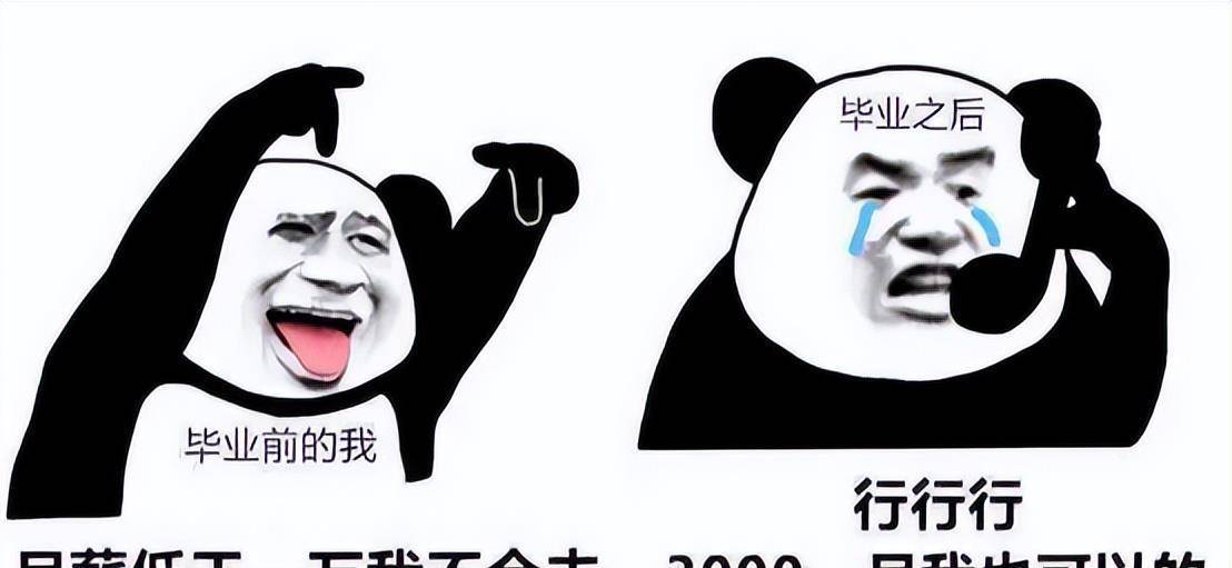 毕业前"非大厂我不去,毕业后"跪求"企业认领,网友:真相了_职场_现实