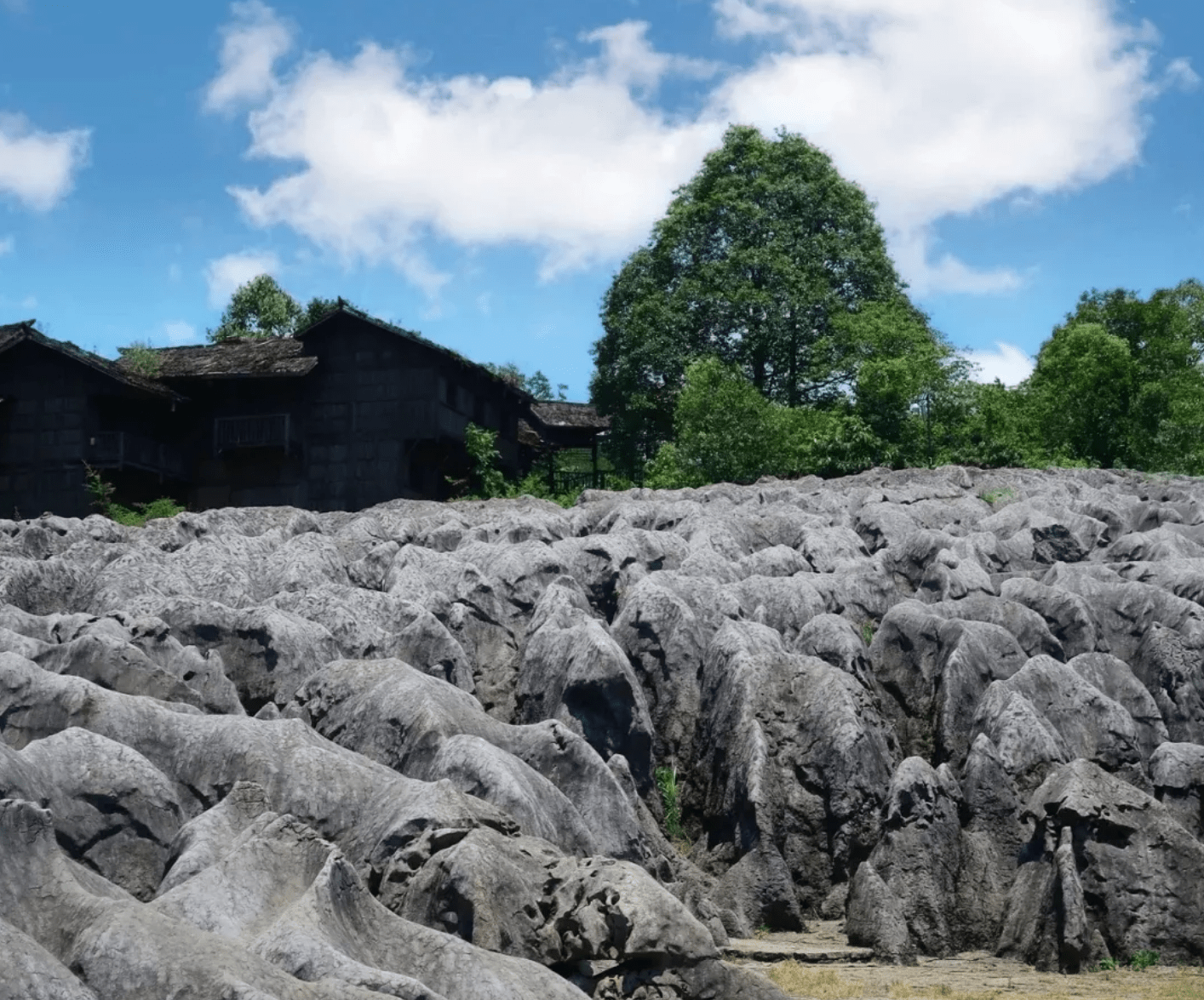 兴文石海是国家4a级景区,沿途都是茂密的森林和特色峭石,非常养眼.