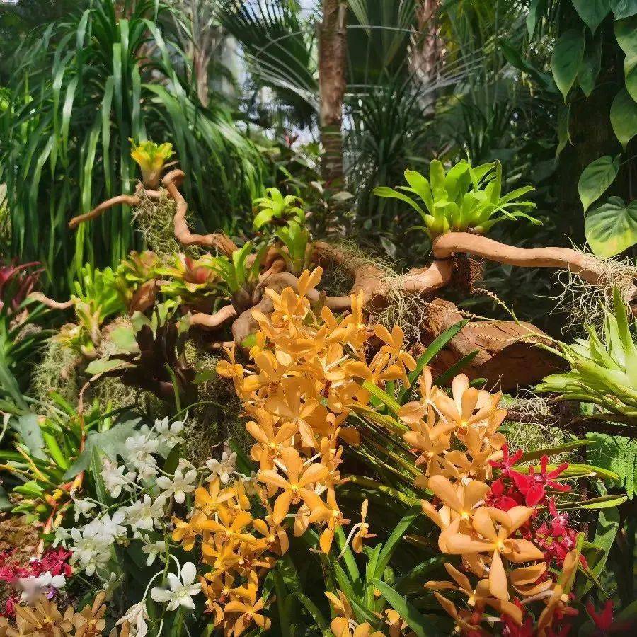 �����Ρ���ѿ�չ���¿ռ俪��......�������ûָ�ϳ�¯�� ...