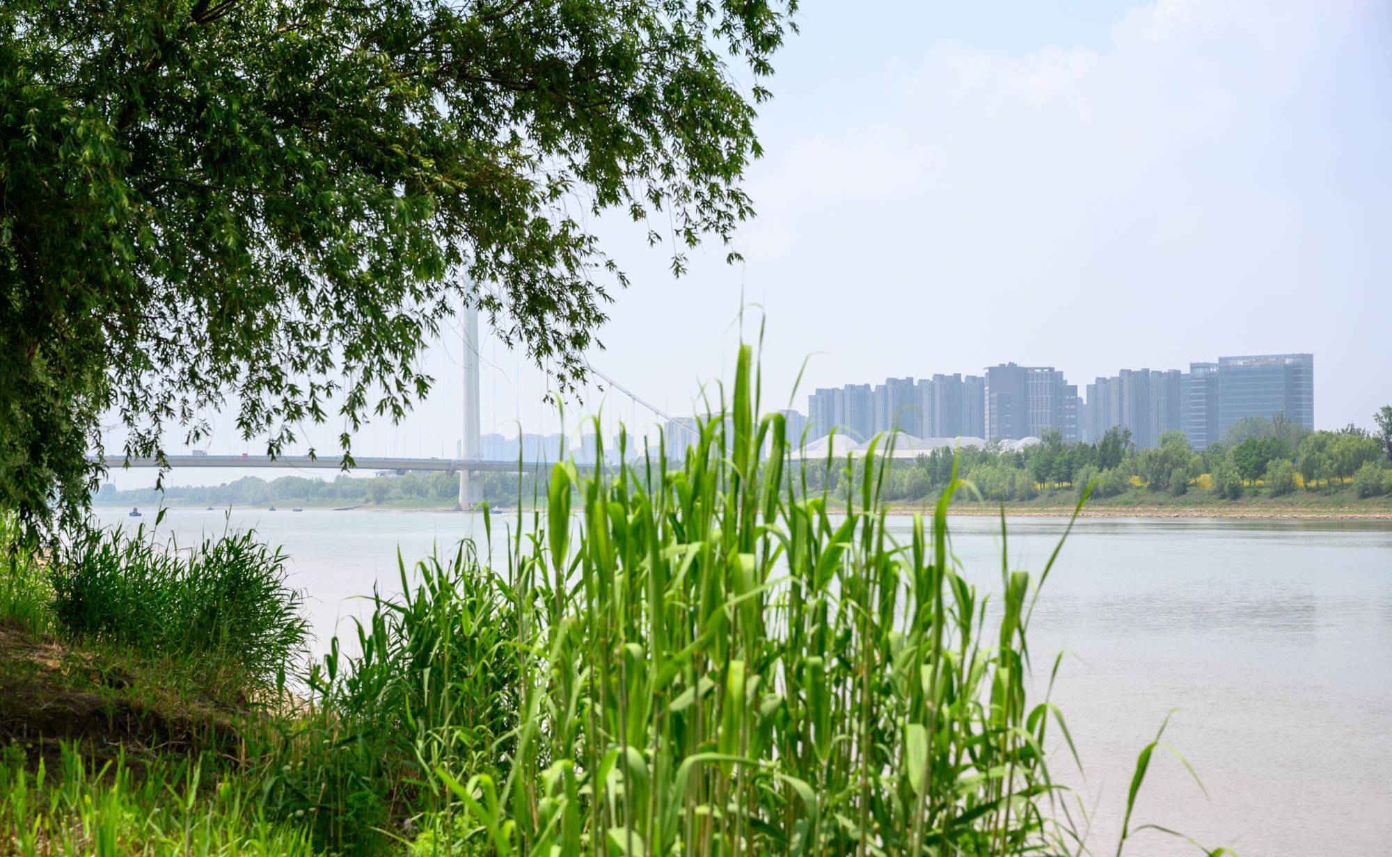 南京河西新城，华东第二大中央商务区，高楼林立景色也很美