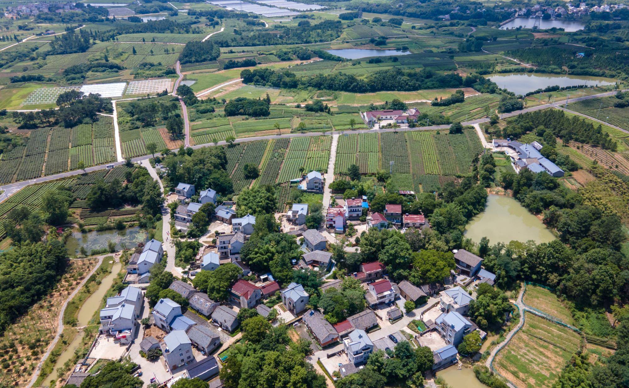 南京被忽略的美丽乡村，藏在“国际慢城”中，景色宛若世外桃源