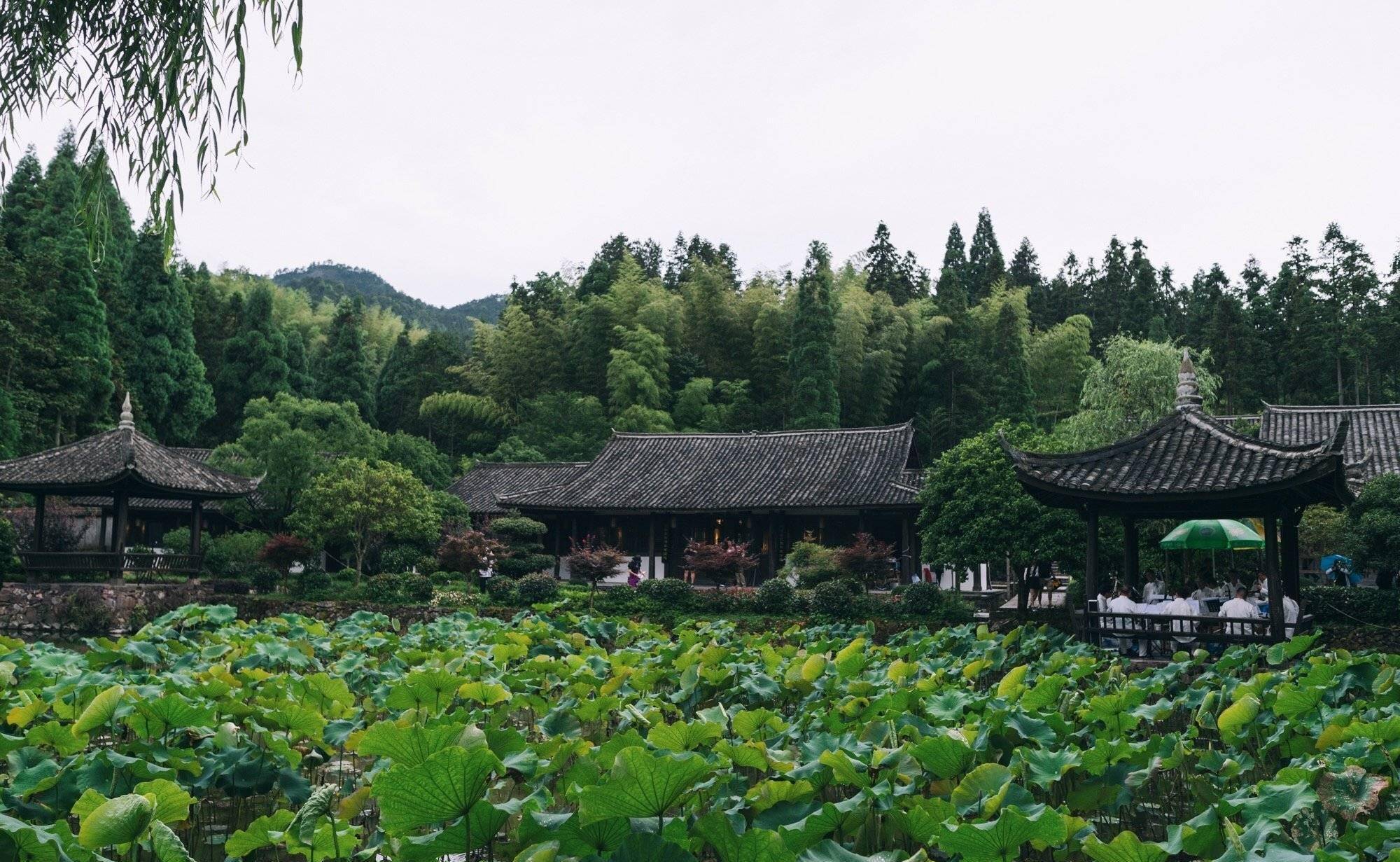 温州文成县少有人知的景点，因拍摄电视剧而建，景色美如江南园林