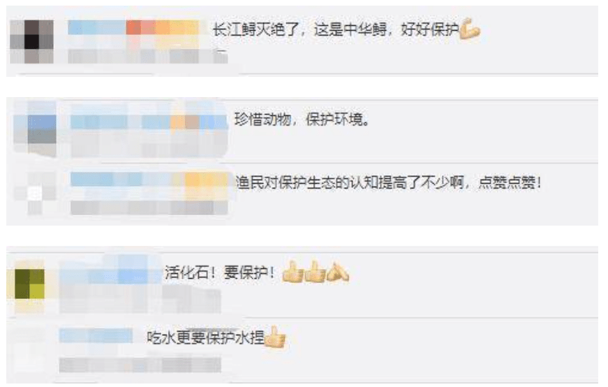 渔民捕获一条50多公斤野生中华鲟