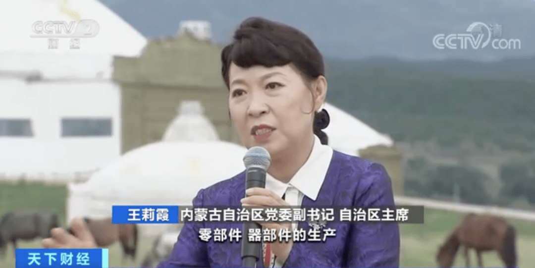 内蒙古自治区党委副书记 自治区主席 王莉霞:抓装备制造业没有一定的