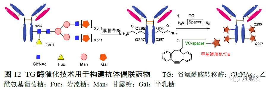 o'shannessy 等[50]开发了一种通过高碘酸钠(naio4)将单糖末端的顺式