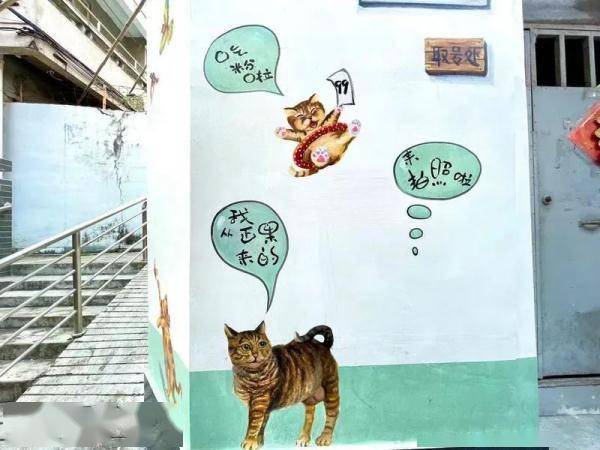 上新！广州这条巷子来了一群“小猫咪”，快来打卡