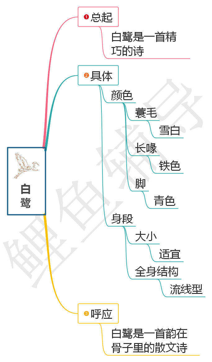 思维导图白鹭实在是一首诗,一首韵在骨子里的散文诗.