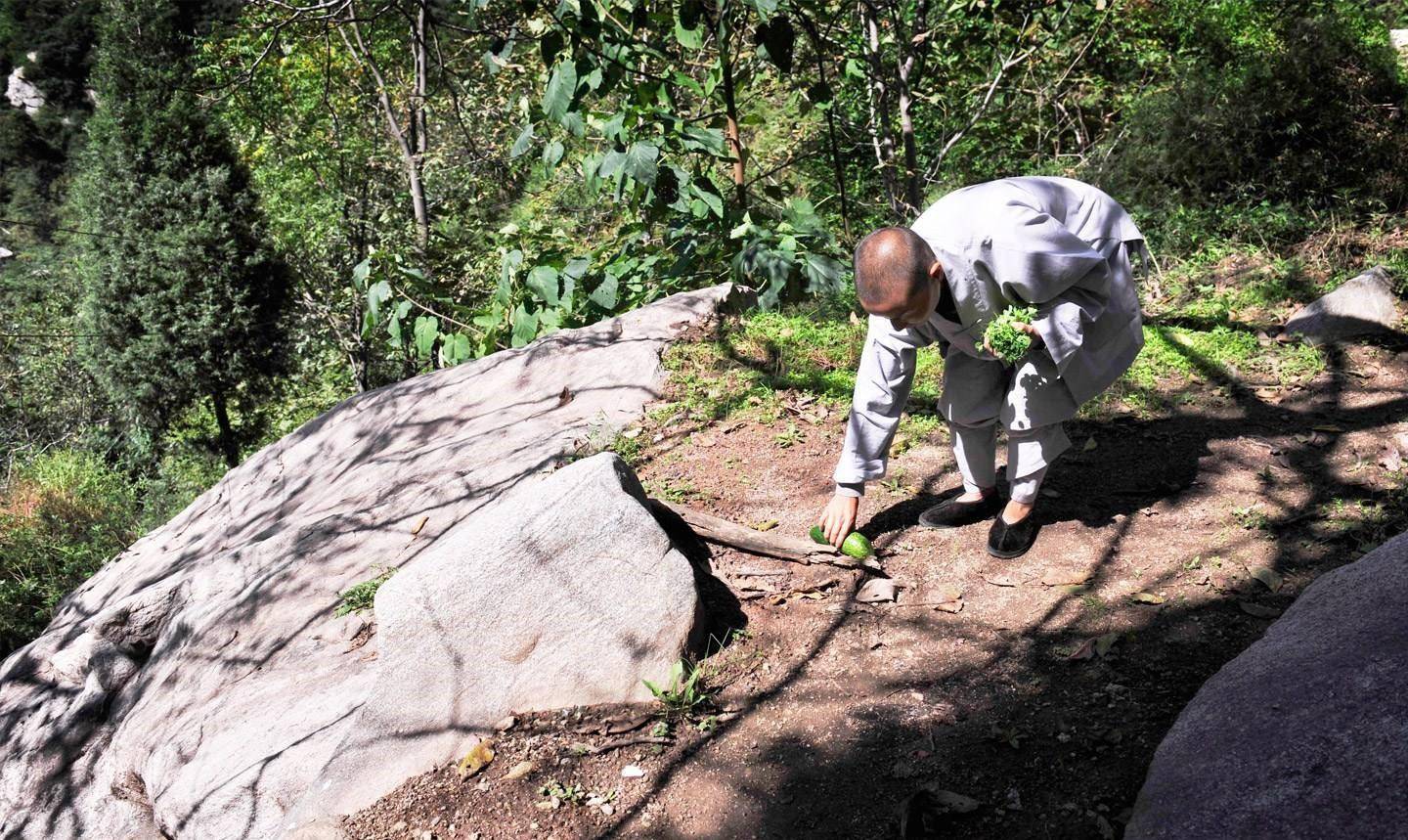 终南山隐居乱象：开隐居培训班、假道士宰客、网红打卡，简直可恶