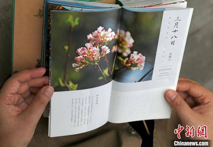 颐和园2023年日历发布 385幅植物图片展园林四季芳华