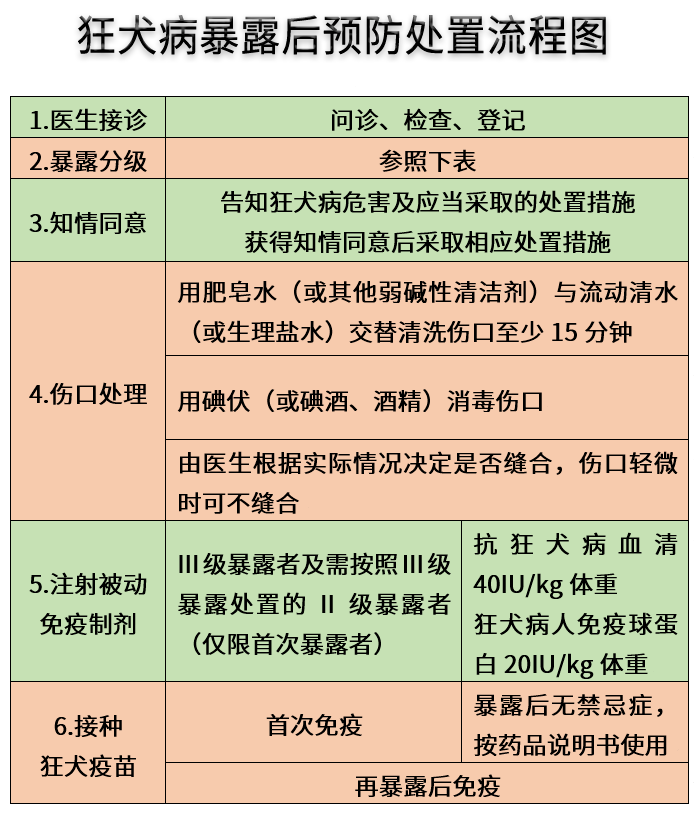 世界狂犬病日,需要了解致死率100%的狂犬病!_病毒_中枢神经_脊髓